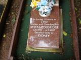 image of grave number 224210